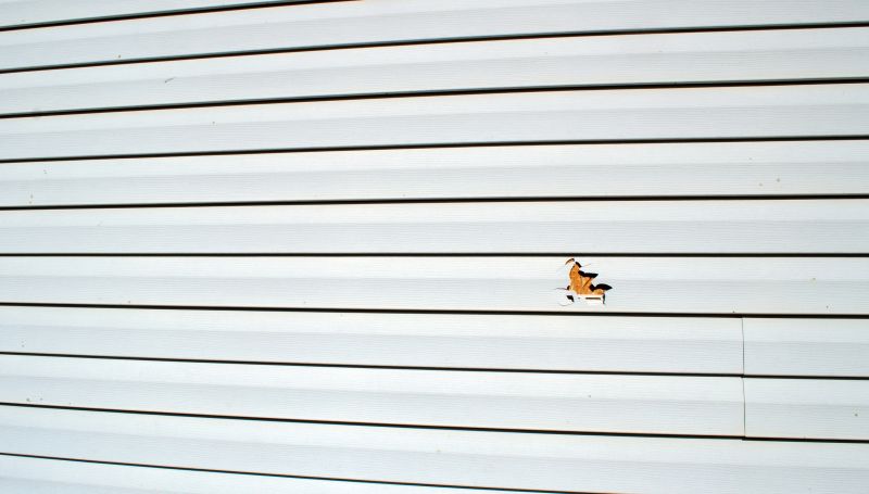 Winter Siding Challenges